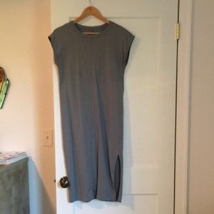 Everlane sheath dress